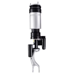 Amortisseur Suspension Pneumatique Avant Droit Tesla Model X - 2019-2023