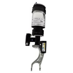 Amortisseur Suspension Pneumatique Avant Droit Tesla Model S - 2019-2023